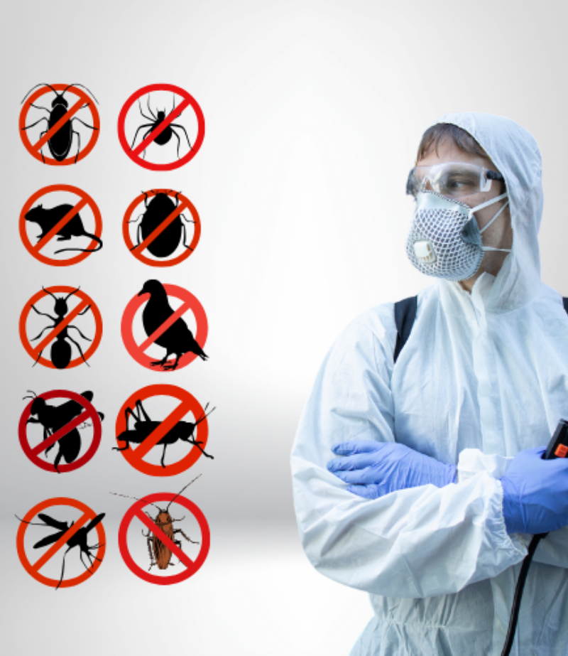 pest-control-services-coimbatore